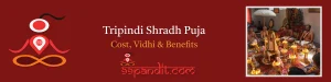 Tripindi Shradh Puja At Trimbakeshwar Cost, Vidhi, And Benefits