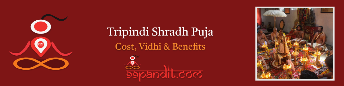 Tripindi Shradh Puja At Trimbakeshwar Cost, Vidhi, And Benefits