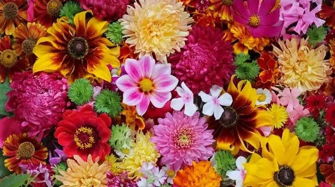 आखिर क्यों चढ़ाए जाते है भगवान को फूल 