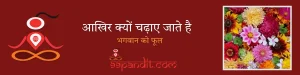 आखिर क्यों चढ़ाए जाते है भगवान को फूल
