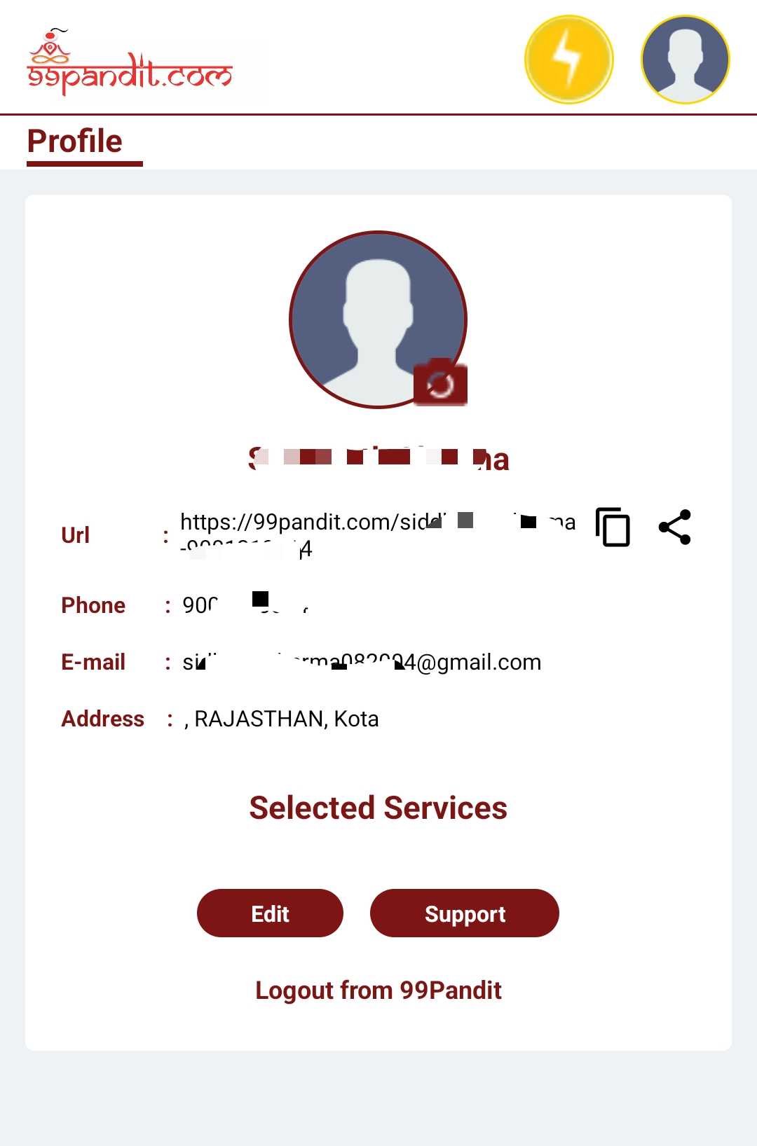 Pandit Partner Profile Update